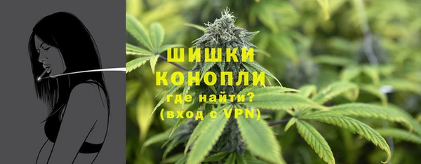 гашик Липки