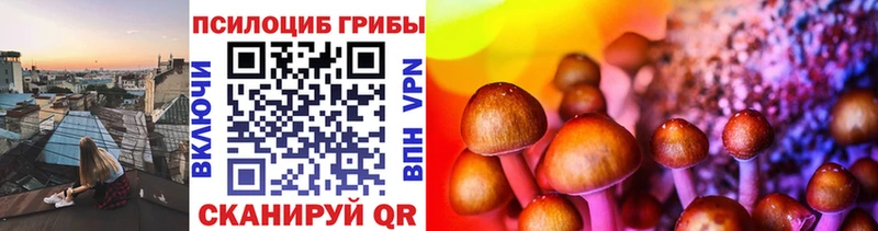 blacksprut ССЫЛКА  даркнет Telegram  Псилоцибиновые грибы мухоморы  Нефтеюганск 